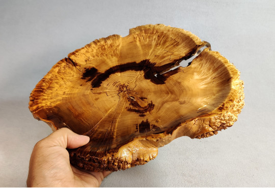 Handmade Wooden Salver / Maple Burl Wood